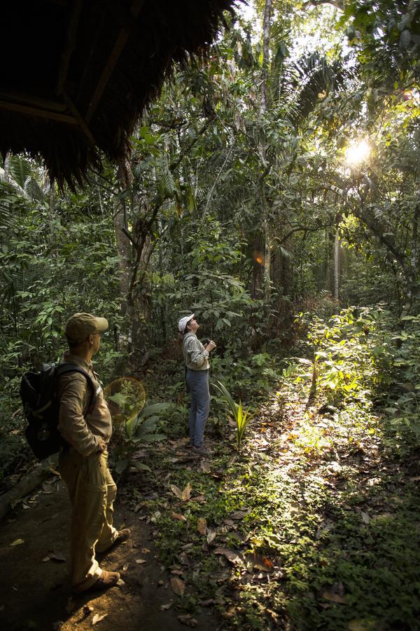 הוסטל פוארטו מלדונדו Amazon Field Station Byinkaterra מראה חיצוני תמונה